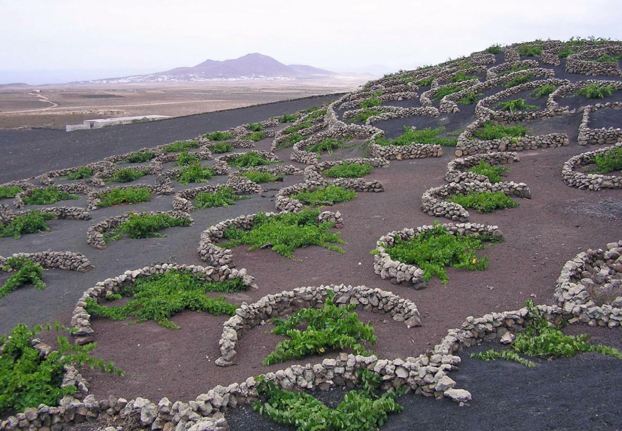 Casa El Gallo Teguise  Ngoại thất bức ảnh